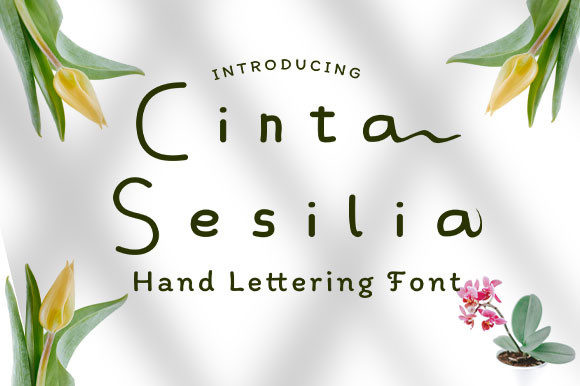 Cinta Sesilia Font Review