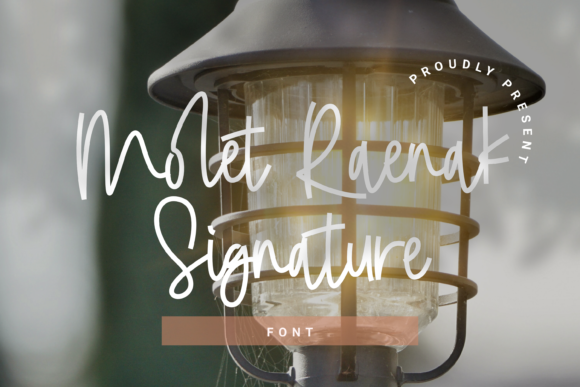 Molet Raenak Font for Web Design