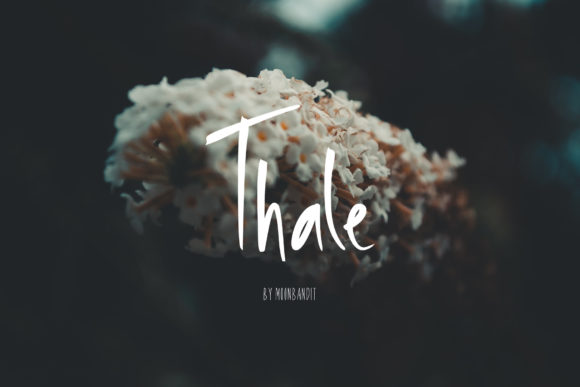Thale: A Handwritten Font for Editorial Design