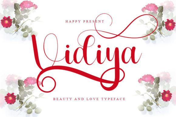 Vidiya: A Script Amp Review